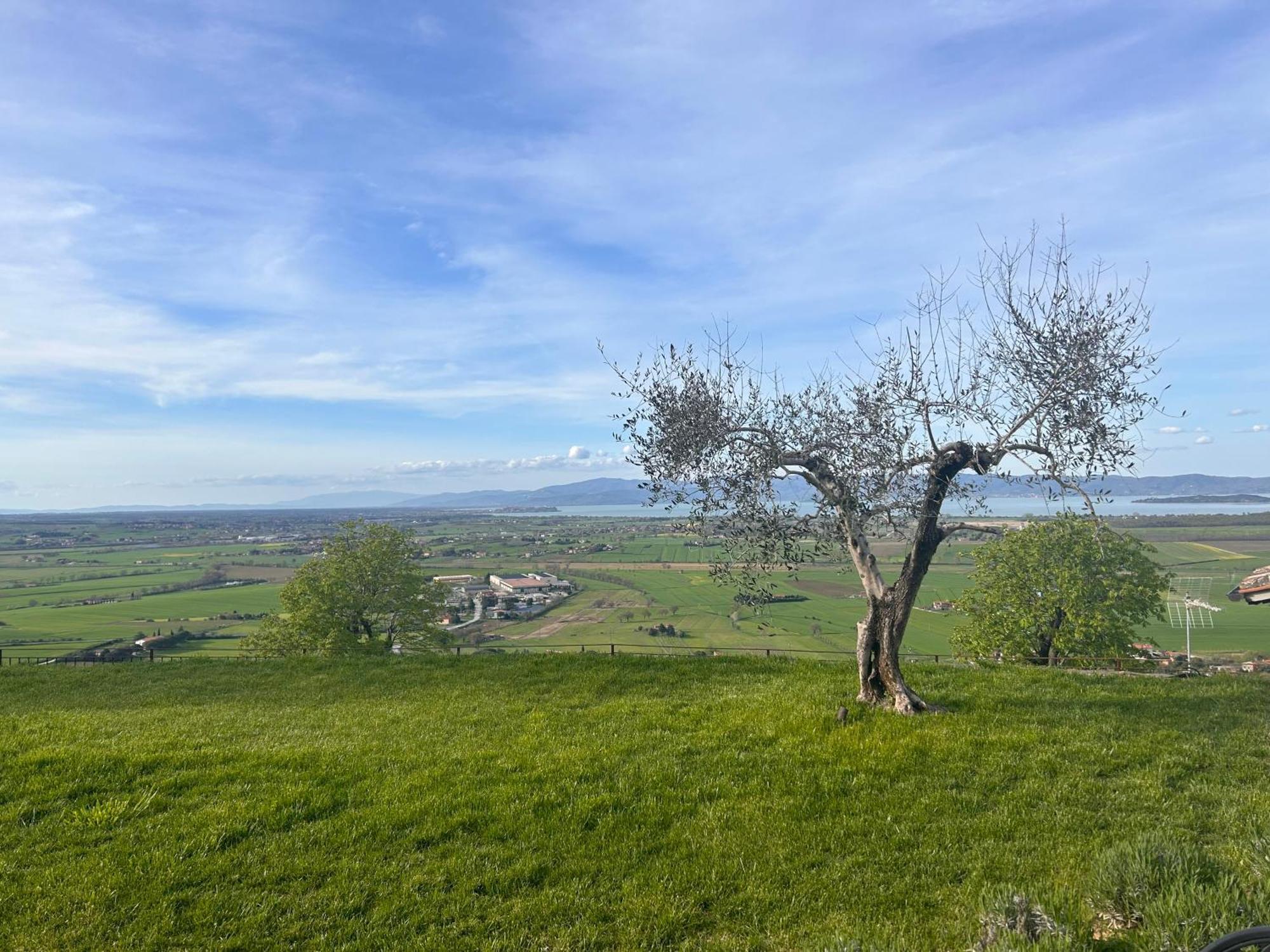 Boutique Hotel Masolino Panicale Exteriör bild